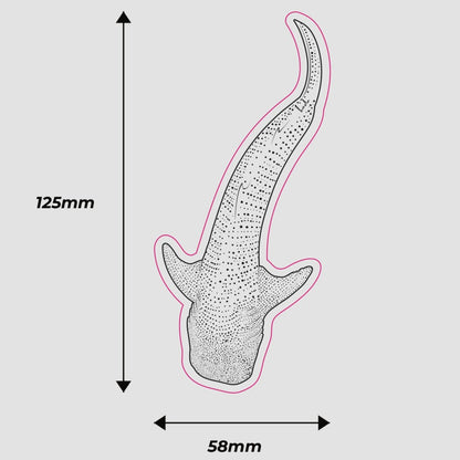 Clear Whale Shark Sticker - KODA SCRUBS