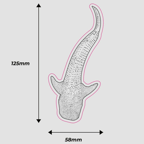Clear Whale Shark Sticker - KODA SCRUBS