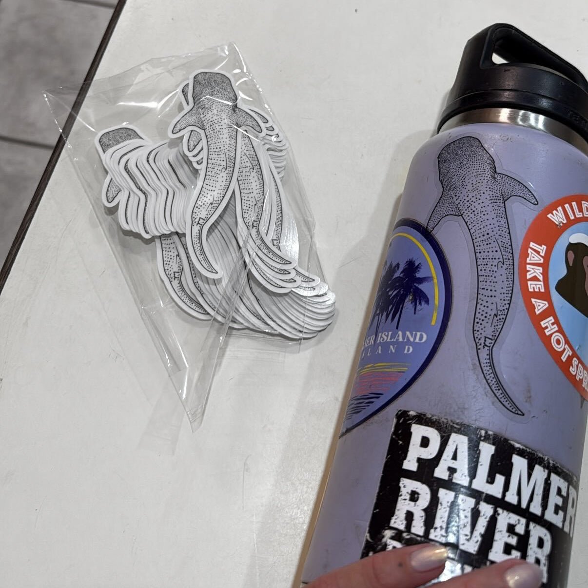 Clear Whale Shark Sticker - KODA SCRUBS